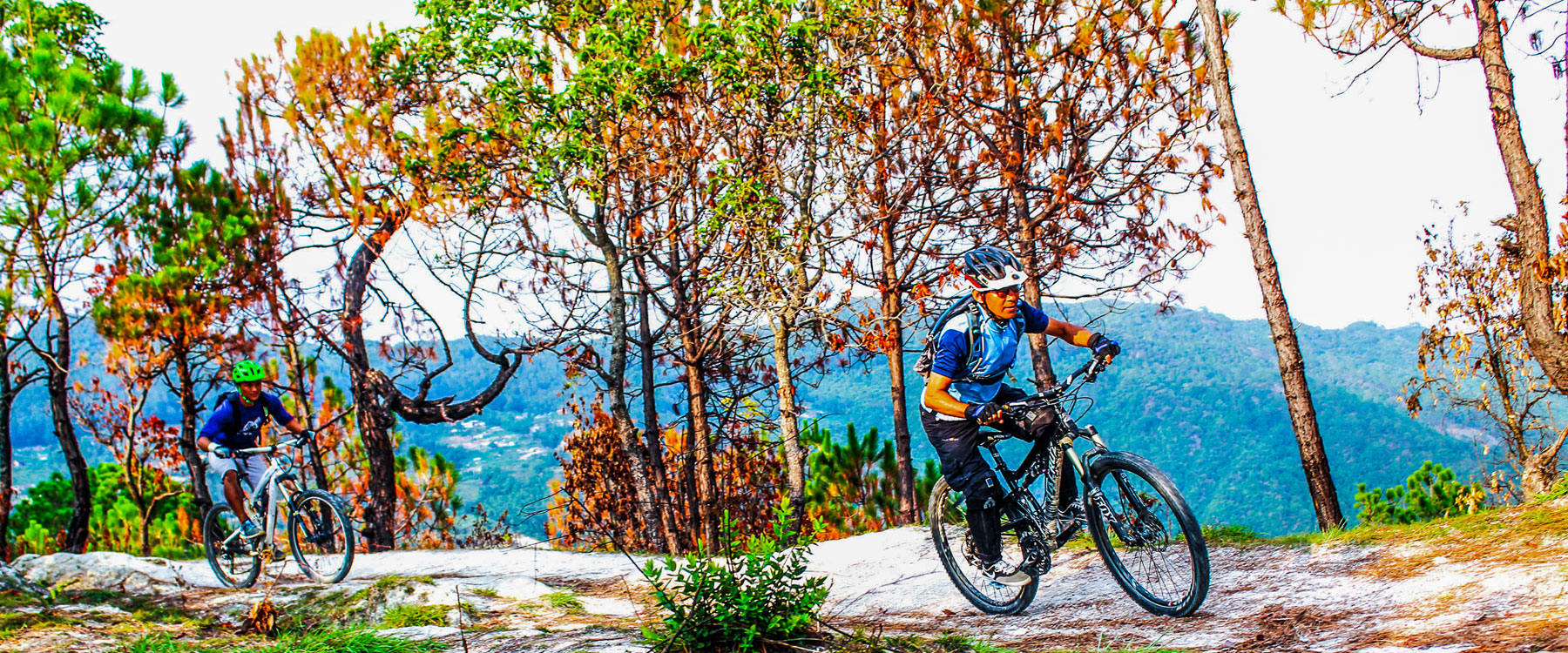 ktm-rim-bike.jpg